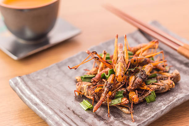 Cooking with Insects: A Sustainable Protein Source You Should Try